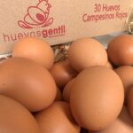 Huevos Campesinos De Gallinas En Pastoreo Huevos Gentil